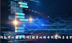 比特币钱包可以有多个吗